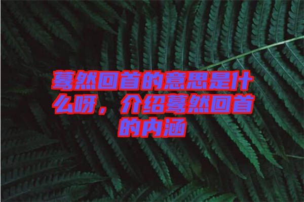 驀然回首的意思是什么呀，介紹驀然回首的內(nèi)涵