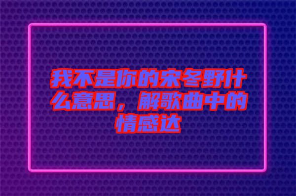 我不是你的宋冬野什么意思，解歌曲中的情感達(dá)