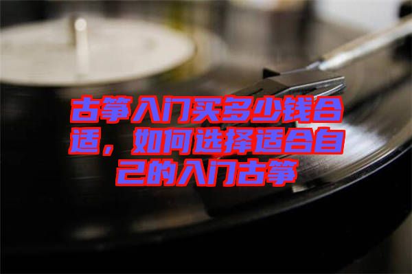古箏入門買多少錢合適，如何選擇適合自己的入門古箏