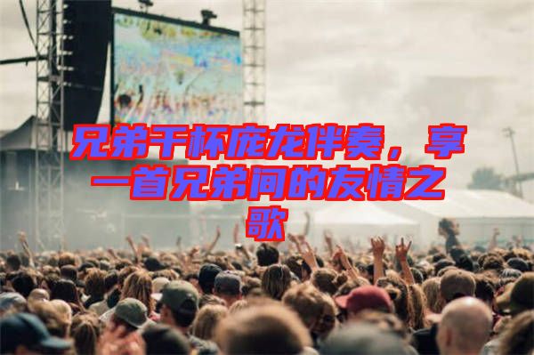兄弟干杯龐龍伴奏，享一首兄弟間的友情之歌