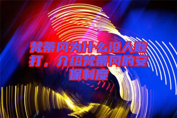 梵蒂岡為什么沒人敢打，介紹梵蒂岡的安保制度
