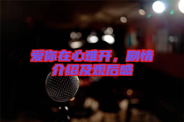 愛你在心難開，劇情介紹及觀后感
