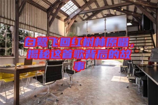 白鷺飛回紅樹林原唱，揭秘這首歌背后的故事