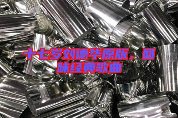 十七歲劉德華原版，回味經(jīng)典歌曲