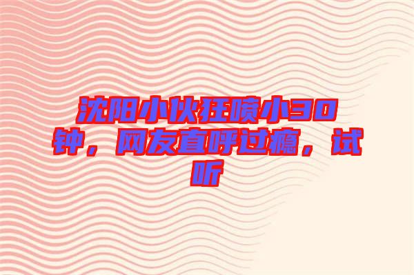 沈陽(yáng)小伙狂噴小30鐘，網(wǎng)友直呼過(guò)癮，試聽(tīng)