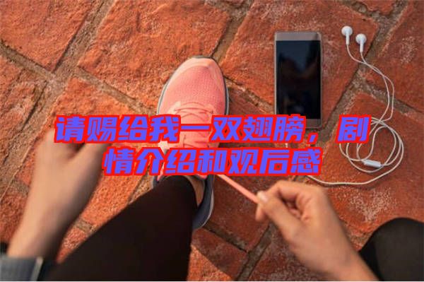 請(qǐng)賜給我一雙翅膀，劇情介紹和觀后感