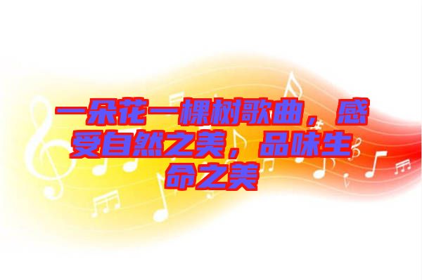 一朵花一棵樹歌曲，感受自然之美，品味生命之美