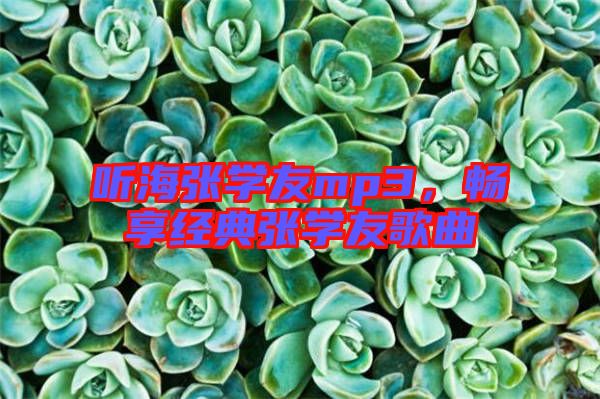 聽海張學(xué)友mp3，暢享經(jīng)典張學(xué)友歌曲