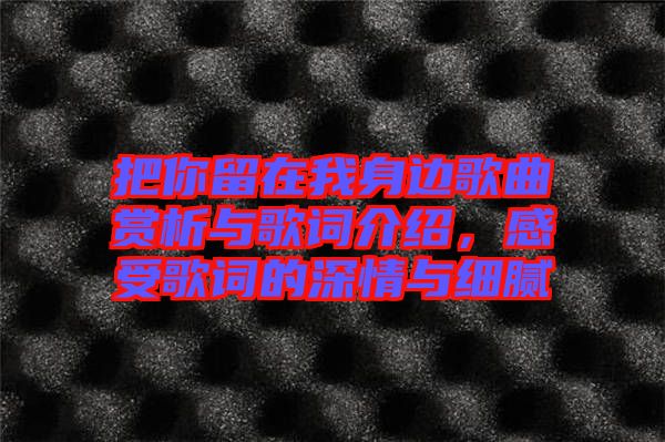 把你留在我身邊歌曲賞析與歌詞介紹，感受歌詞的深情與細(xì)膩