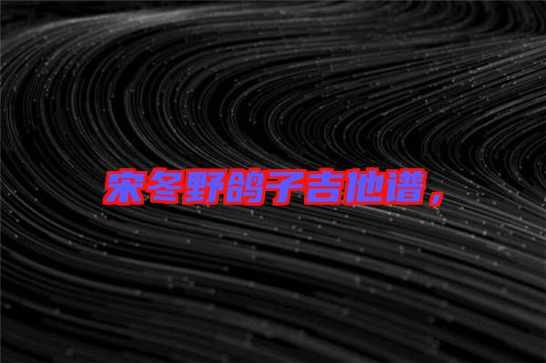 宋冬野鴿子吉他譜，
