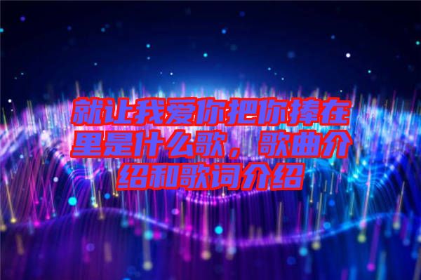 就讓我愛你把你捧在里是什么歌，歌曲介紹和歌詞介紹