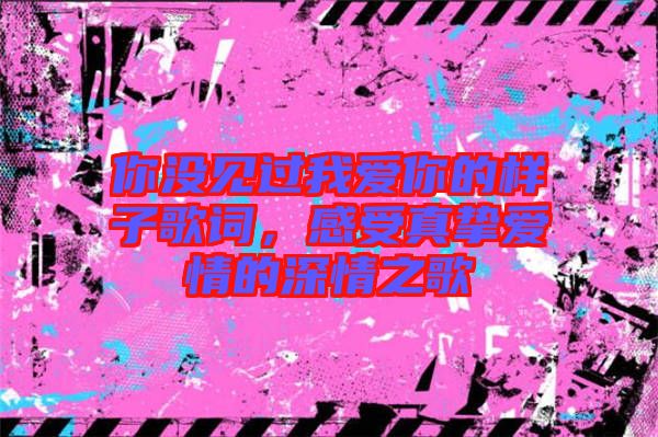 你沒見過我愛你的樣子歌詞，感受真摯愛情的深情之歌