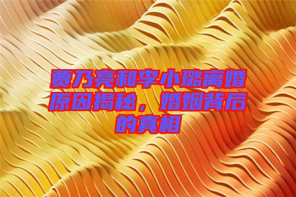 賈乃亮和李小璐離婚原因揭秘，婚姻背后的真相