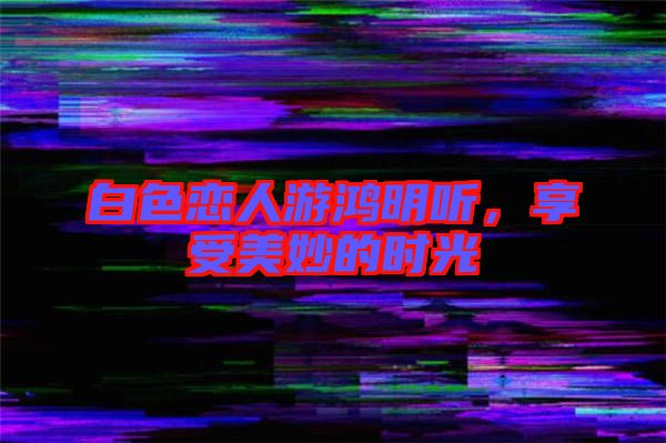 白色戀人游鴻明聽，享受美妙的時光