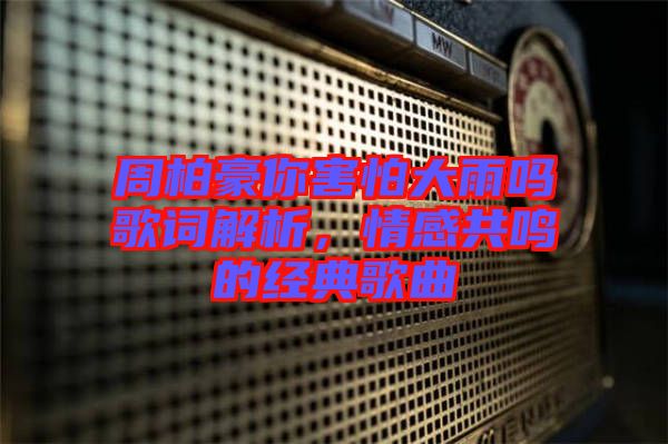 周柏豪你害怕大雨嗎歌詞解析，情感共鳴的經(jīng)典歌曲
