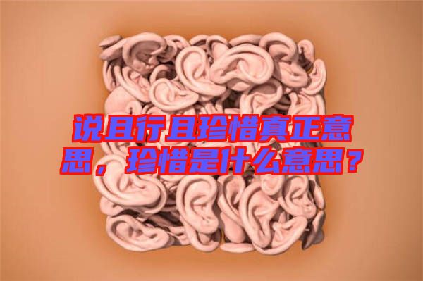 說且行且珍惜真正意思，珍惜是什么意思？