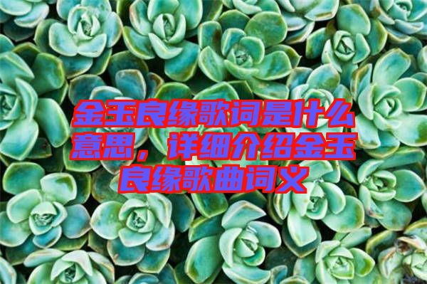 金玉良緣歌詞是什么意思，詳細(xì)介紹金玉良緣歌曲詞義