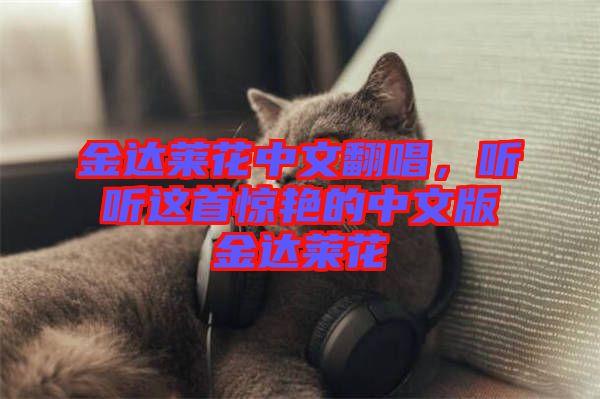 金達(dá)萊花中文翻唱，聽(tīng)聽(tīng)這首驚艷的中文版金達(dá)萊花