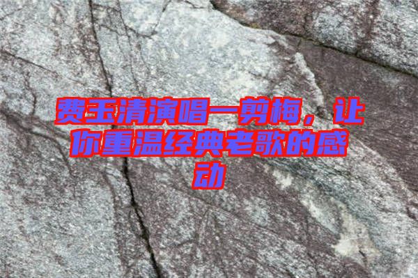 費玉清演唱一剪梅，讓你重溫經(jīng)典老歌的感動