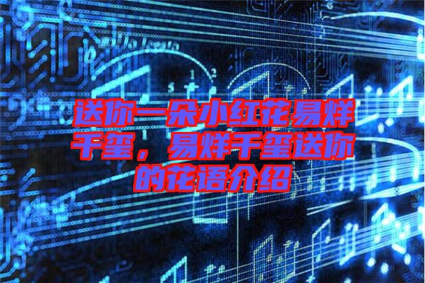 送你一朵小紅花易烊千璽，易烊千璽送你的花語(yǔ)介紹
