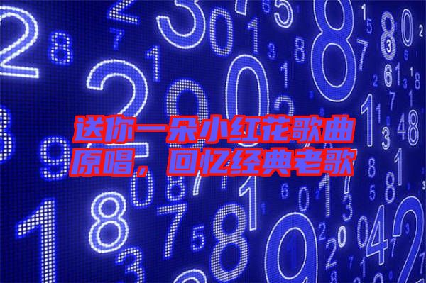 送你一朵小紅花歌曲原唱，回憶經(jīng)典老歌