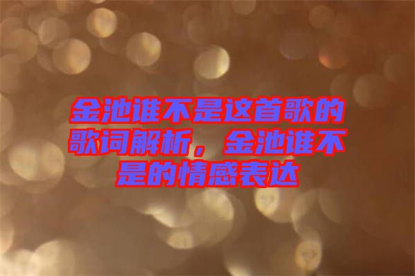 金池誰不是這首歌的歌詞解析，金池誰不是的情感表達(dá)