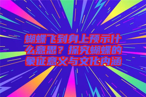 蝴蝶飛到身上預示什么意思？探究蝴蝶的象征意義與文化內涵