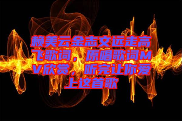 賴美云金志文遠(yuǎn)走高飛歌詞，原唱歌詞MV欣賞，聽完讓你愛上這首歌