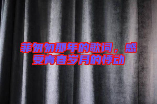 菲匆匆那年的歌詞，感受青春歲月的悸動