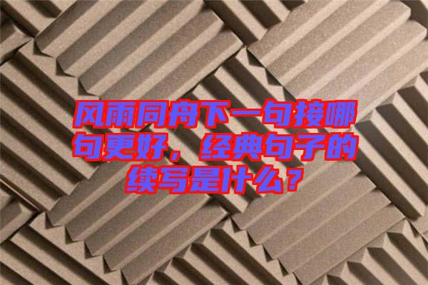 風(fēng)雨同舟下一句接哪句更好，經(jīng)典句子的續(xù)寫(xiě)是什么？