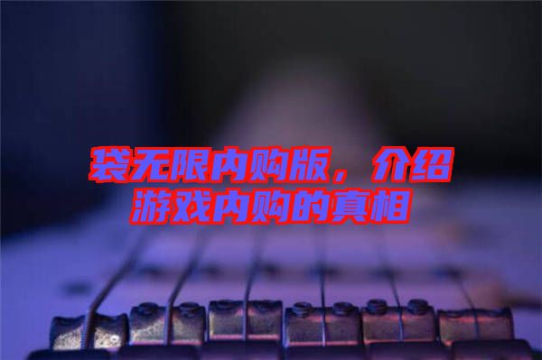 袋無限內(nèi)購版，介紹游戲內(nèi)購的真相