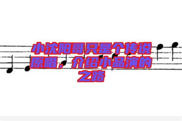小沈陽哥只是個(gè)傳說原唱，介紹小品演的之路