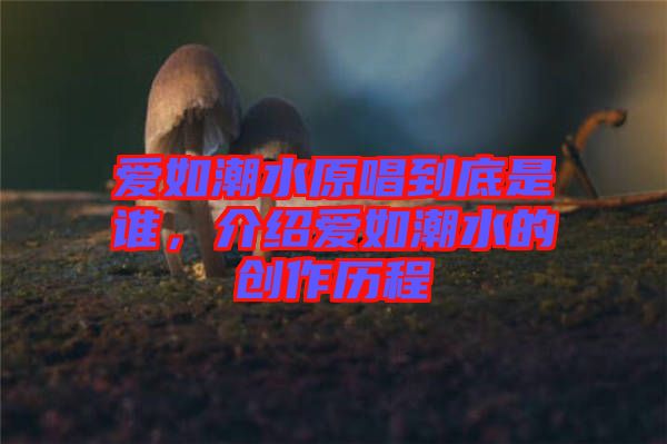 愛如潮水原唱到底是誰(shuí)，介紹愛如潮水的創(chuàng)作歷程