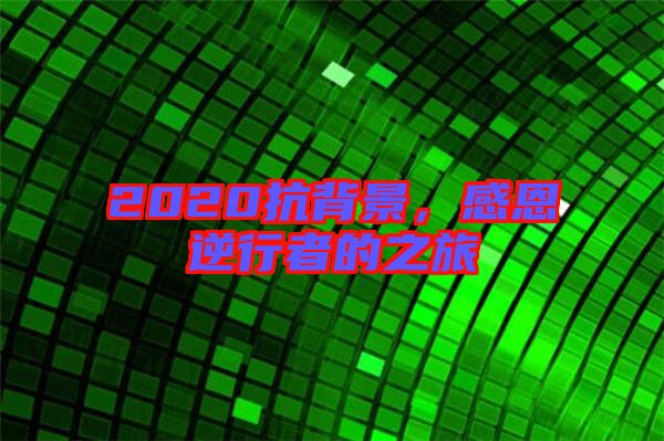 2020抗背景，感恩逆行者的之旅