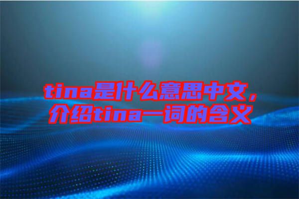 tina是什么意思中文，介紹tina一詞的含義
