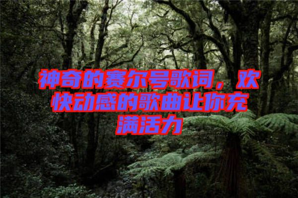 神奇的賽爾號(hào)歌詞，歡快動(dòng)感的歌曲讓你充滿活力