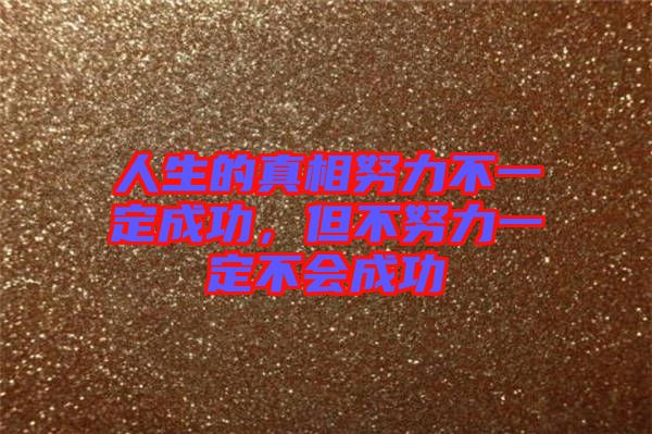 人生的真相努力不一定成功，但不努力一定不會(huì)成功