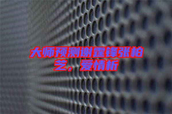 大師預(yù)測(cè)謝霆鋒張柏芝，愛情析