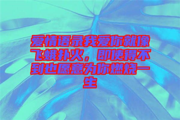 愛情語錄我愛你就像飛蛾撲火，即使得不到也愿意為你燃燒一生