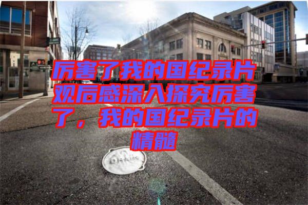 厲害了我的國紀(jì)錄片觀后感深入探究厲害了，我的國紀(jì)錄片的精髓