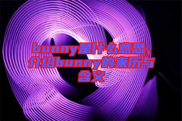 bunny是什么意思，介紹bunny的來歷與含義