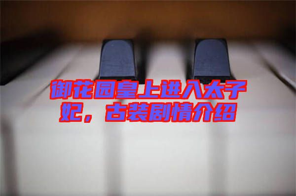 御花園皇上進(jìn)入太子妃，古裝劇情介紹