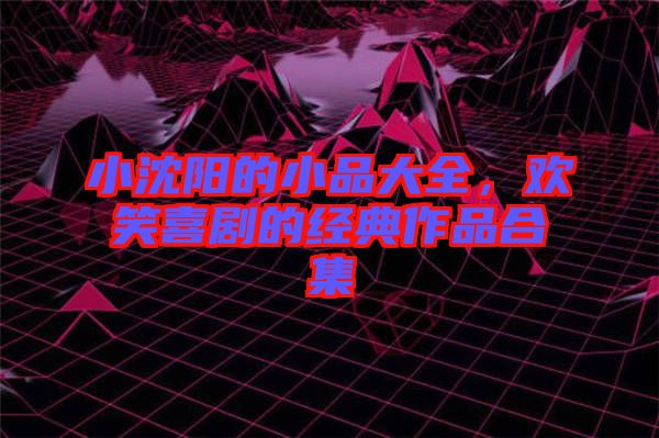 小沈陽的小品大全，歡笑喜劇的經(jīng)典作品合集