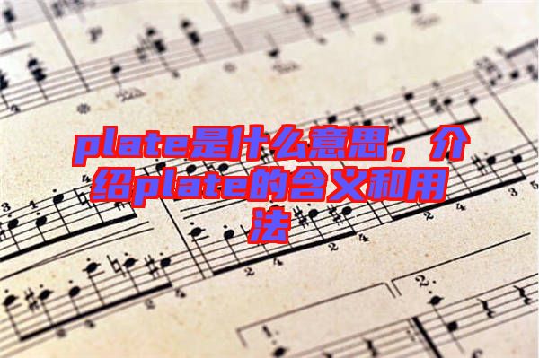 plate是什么意思，介紹plate的含義和用法