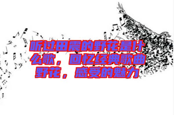 聽過田震的野花是什么歌，回憶經(jīng)典歌曲野花，感受的魅力