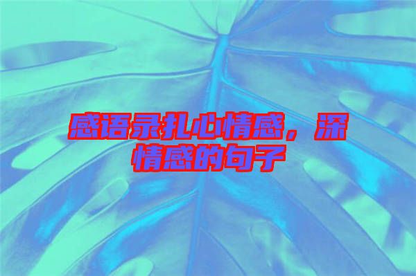 感語錄扎心情感，深情感的句子