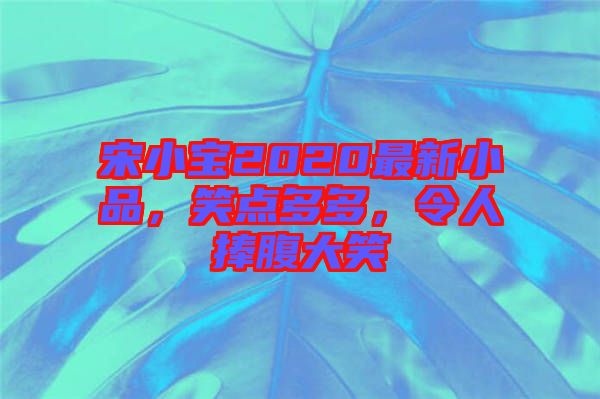 宋小寶2020最新小品，笑點(diǎn)多多，令人捧腹大笑
