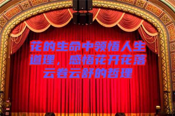 花的生命中領(lǐng)悟人生道理，感悟花開花落云卷云舒的哲理