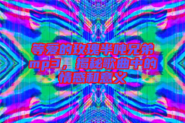 等愛的玫瑰半噸兄弟mp3，揭秘歌曲中的情感和意義