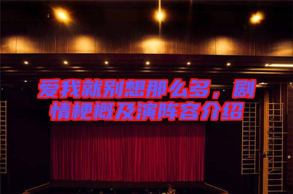 愛我就別想那么多，劇情梗概及演陣容介紹